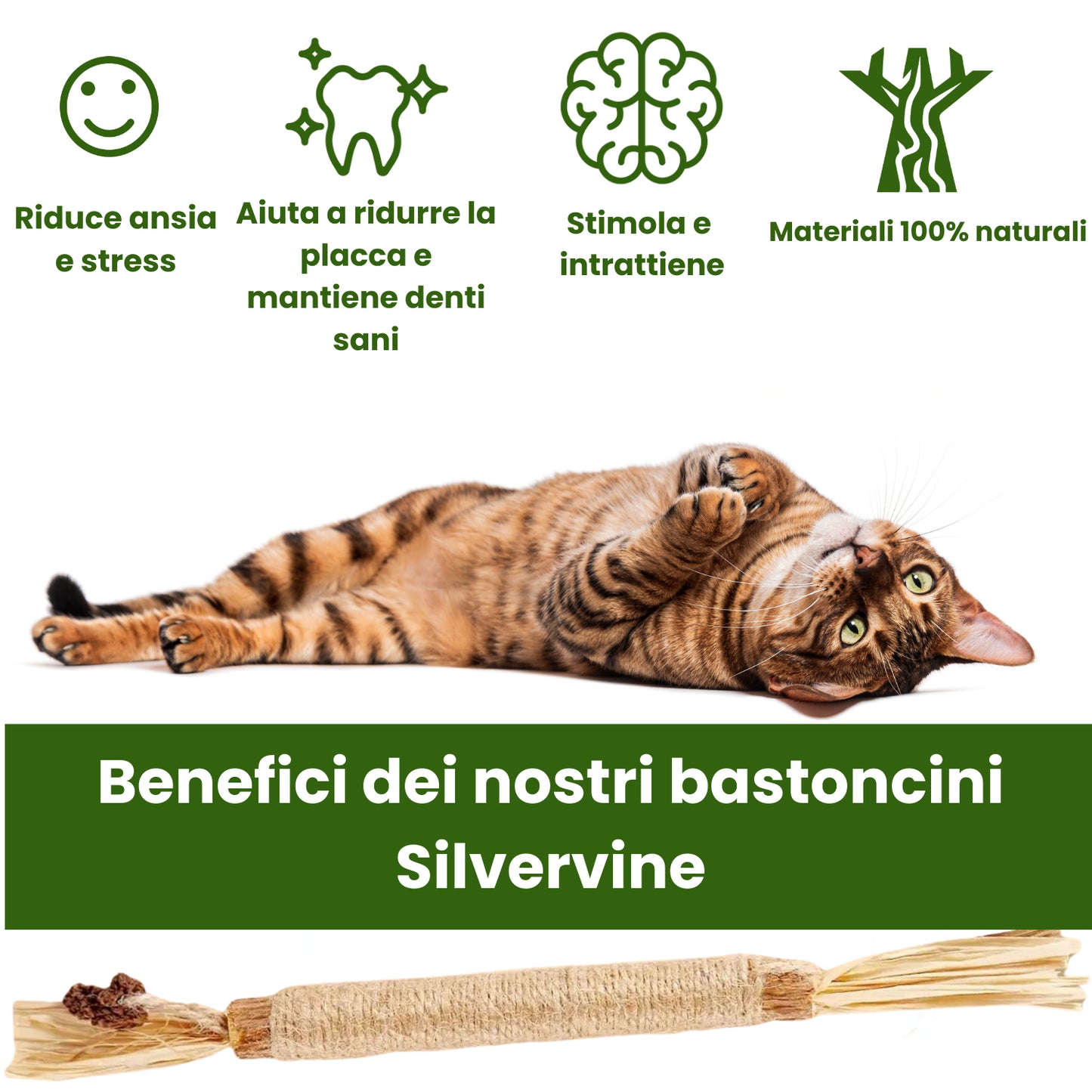 Bastoncini dentali Woolpup™