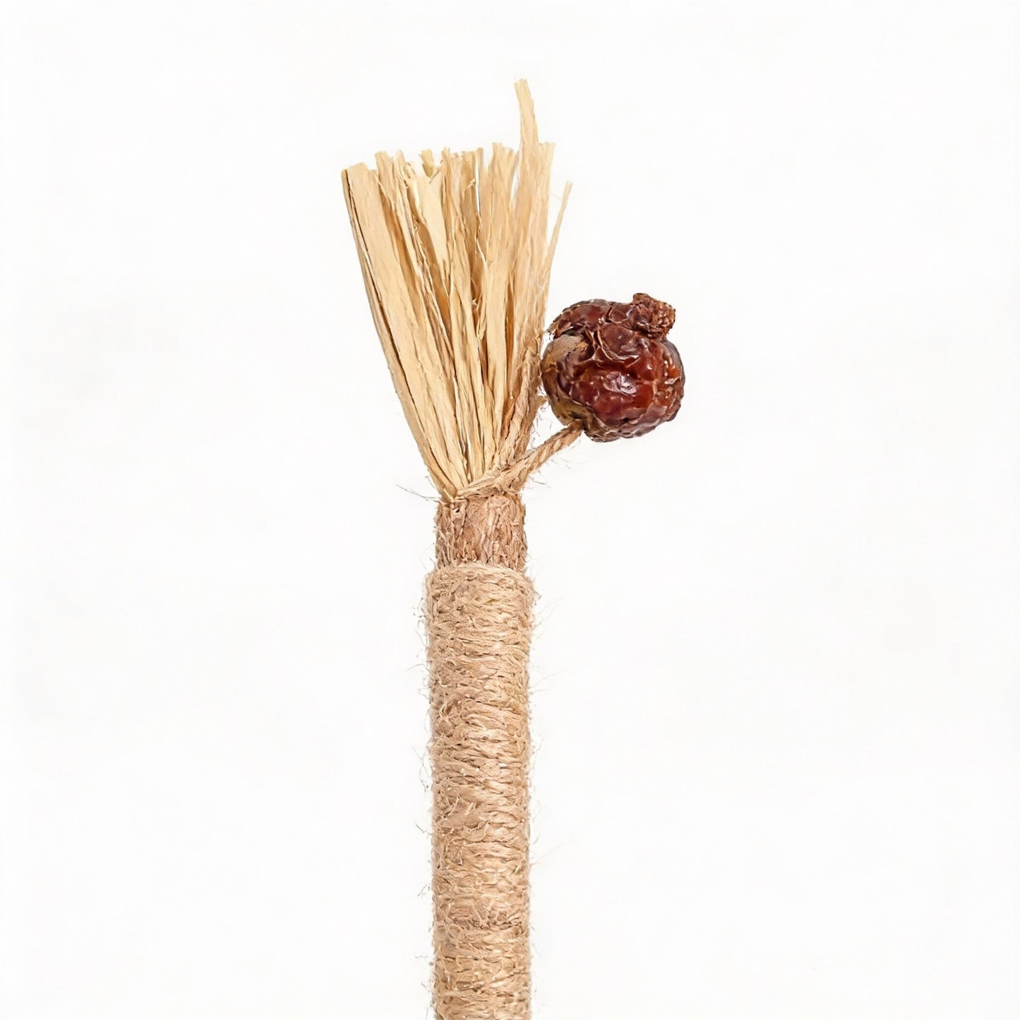 Bastoncini dentali Woolpup™