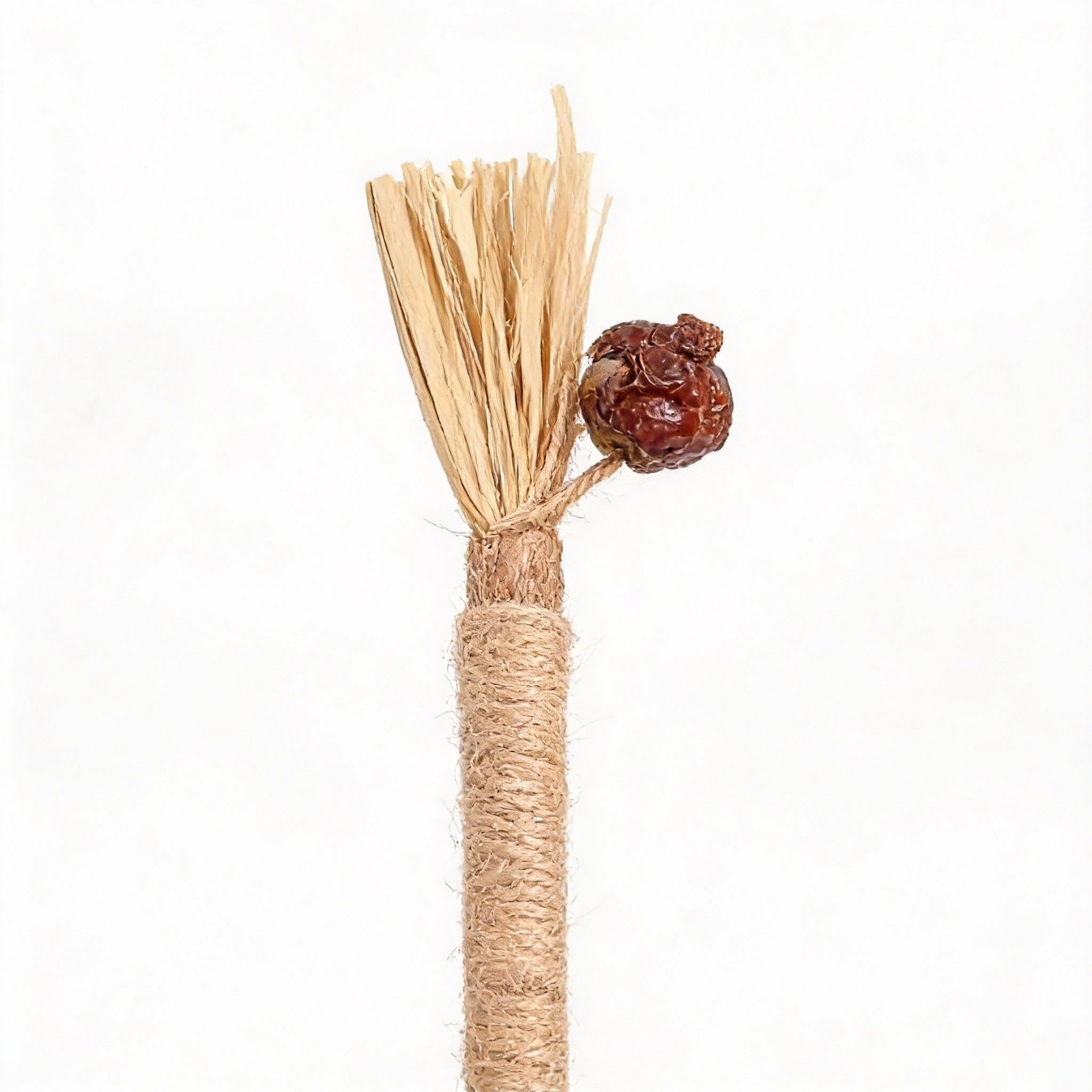 Bastoncini Woolpup™