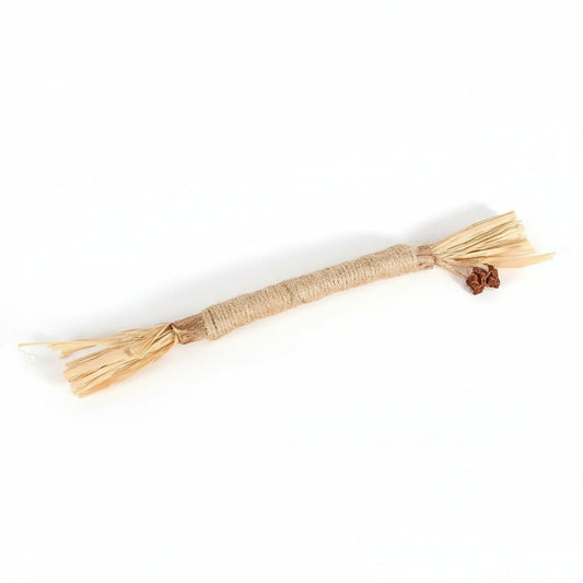 Bastoncini dentali Woolpup™